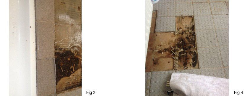 Fix Shower Leaks Bathroom Remodel Mold Remediation Bathroom Tile